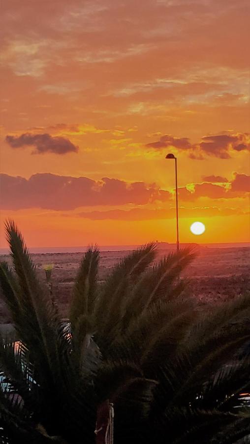 Casa Leon Fuerteventura Lejlighed Corralejo Eksteriør billede